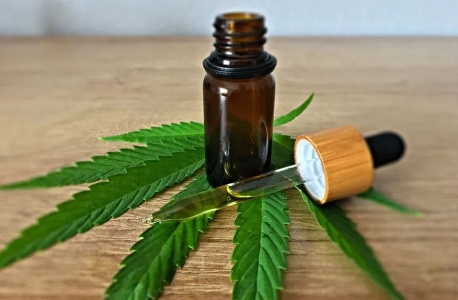 cannabis oil